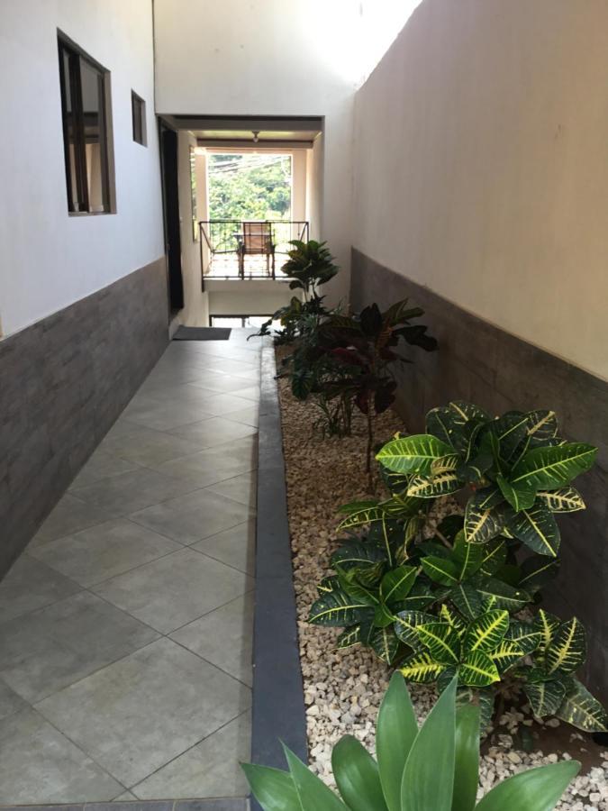 Готель Brand New House Alajuela Near The Airpor Екстер'єр фото