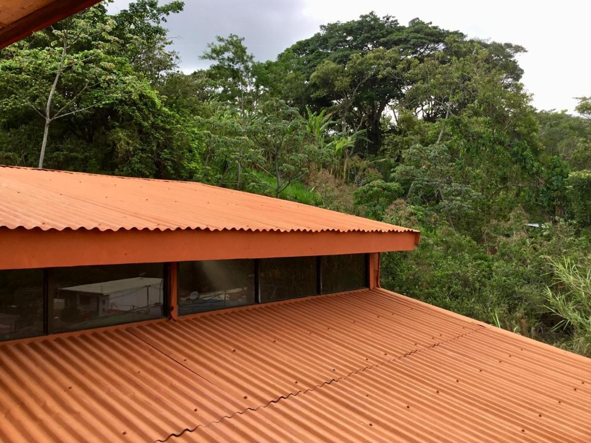 Готель Brand New House Alajuela Near The Airpor Екстер'єр фото
